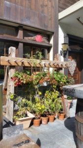 An old ski rack turned      into a fruit and vegetable                  garden