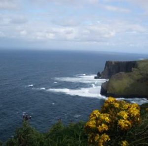 The Cliffs of Moher, CozyNedley
