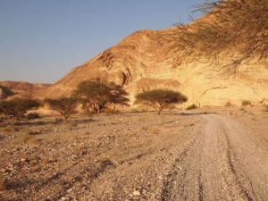 Driving in the desert, CozyMedley