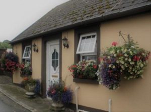 Cozy cottage in Ireland, CozyMedley