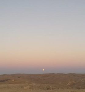 A moon rising over the desert, CozyMedley