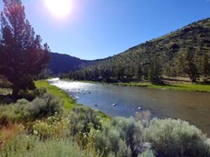 The Truckee River, USA, CozyMedley